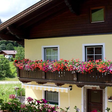 Appartement Gleiminger Forstau  Εξωτερικό φωτογραφία