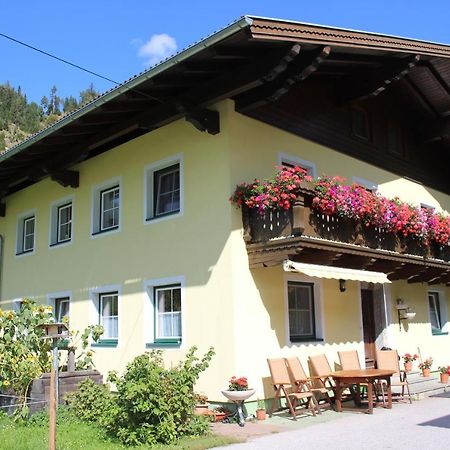 Appartement Gleiminger Forstau  Εξωτερικό φωτογραφία