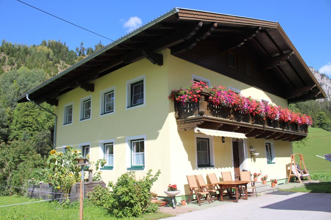 Appartement Gleiminger Forstau  Εξωτερικό φωτογραφία